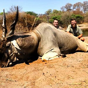 Namibia Hunt Eland