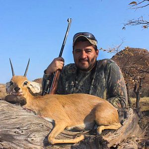 Steenbok Hunting Namibia