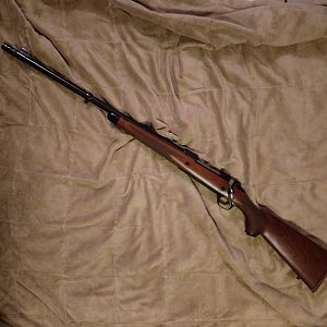 375 Ruger African 6