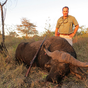 Cape Buffalo Hunting Namibia