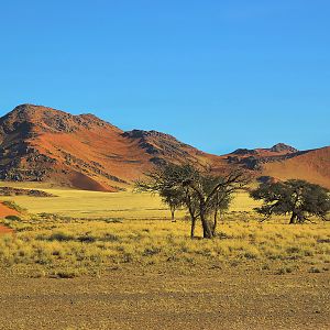 Namibia Landscape