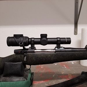 Trijicon AccuPoint 1-6 30mm mounted on CZ 550 .416 Rigby