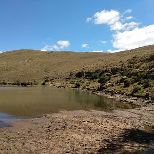 Hunting Area South Africa