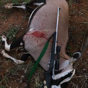 Gemsbok Hunting Namibia