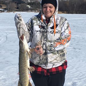 Icefishing Pike in Canada