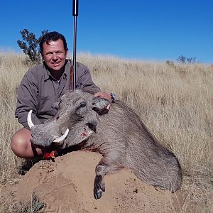 Warthog Hunt South Africa