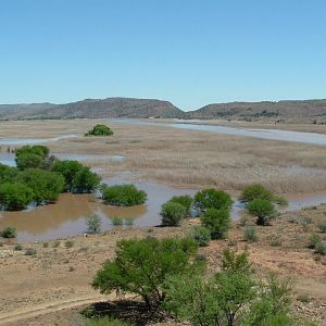 Free State Area South Africa