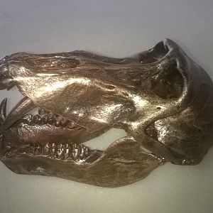 Bronzed Baboon Skull Mount Taxidermy