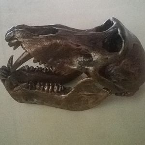 Bronzed Baboon Skull Mount Taxidermy