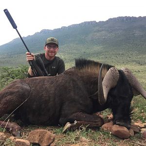 South Africa Hunt Black Wildebeest