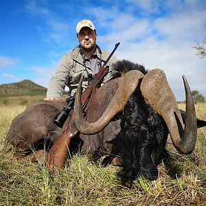 South Africa Hunting Black Wildebeest