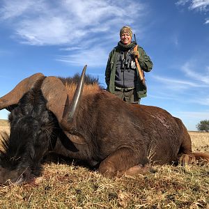 South Africa Hunt Black Wildebeest