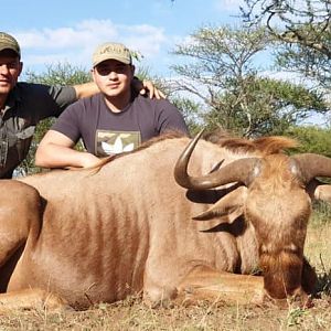 South Africa Hunt Golden Wildebeest