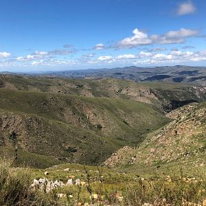 Hunting Karoo South Africa