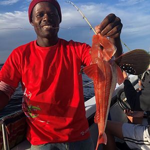 Red Snapper Fishing South Africa