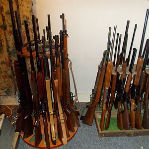 My Rifle Collection