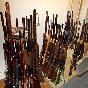 My Rifle Collection