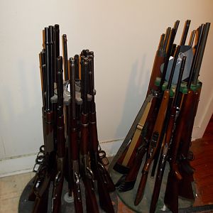 My Rifle Collection