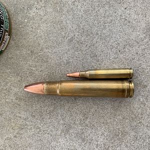 FWIW, 350gr .458 Hornady interlock