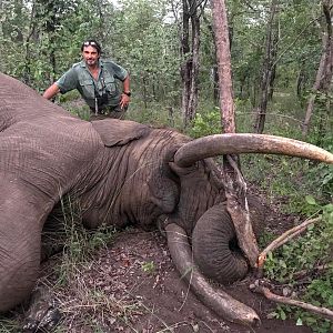 Hunt Elephant in Zimbabwe