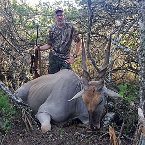 Eland Hunt South Africa