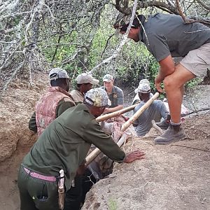 Eland Hunting in South Africa