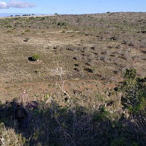 Eastern Cape Hunting South Africa