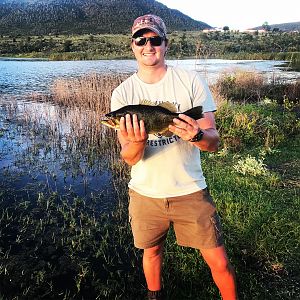 Bass Fishing South Africa