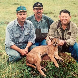 South Africa Hunt Caracal