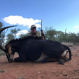 South Africa Hunting Sable Antelope