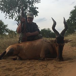 Hunting Red Hartebeest in South Africa