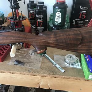 CZ 550 375 H&H AHR Action Rifle