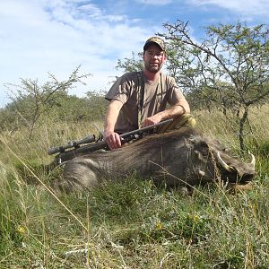 Warthog Hunting South Africa