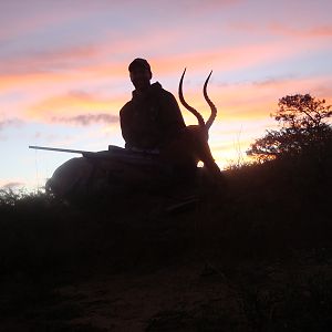 Impala Hunt South Africa