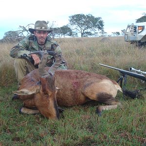 South Africa Hunt Red Hartebeest