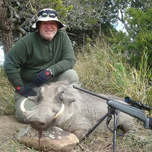 Hunting Warthog in South Africa