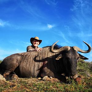 South Africa Hunting Blue Wildebeest