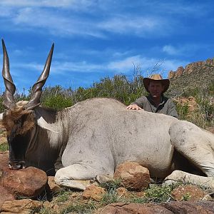 South Africa Hunting Eland