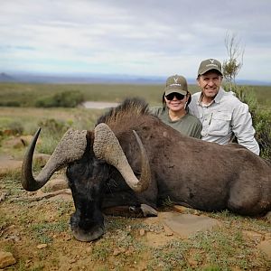 Black Wildebeest Hunting South Africa