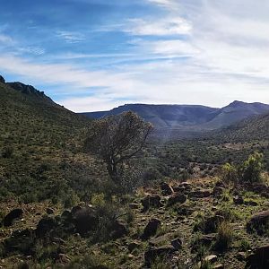 Hunting Area South Africa