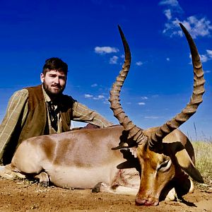 Hunt Impala in South Africa