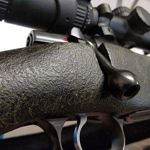 CZ 550 .416 Rigby Rifle mounted with Trijicon AccuPoint 1-6 30mm