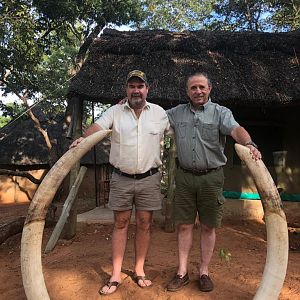 Elephant Hunting Zimbabwe