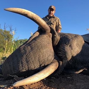 Hunt Elephant in Zimbabwe