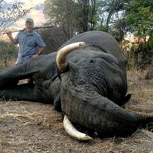 Zimbabwe Hunt Elephant