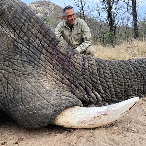 Hunting Elephant in Zimbabwe