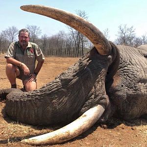 Zimbabwe Hunting Elephant