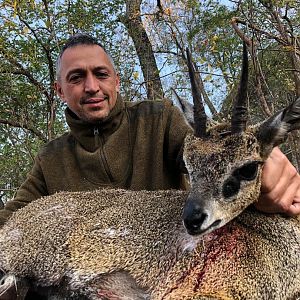 Hunt Klipspringer in Zimbabwe