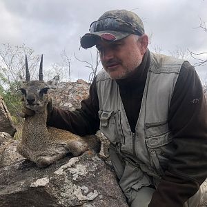 Klipspringer Hunting Zimbabwe