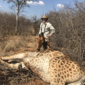 Hunt Giraffe in South Africa